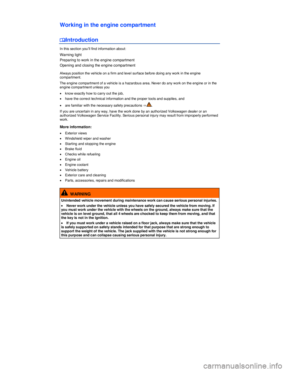 VOLKSWAGEN PASSAT 2008  Owners Manual  
Working in the engine compartment 
�