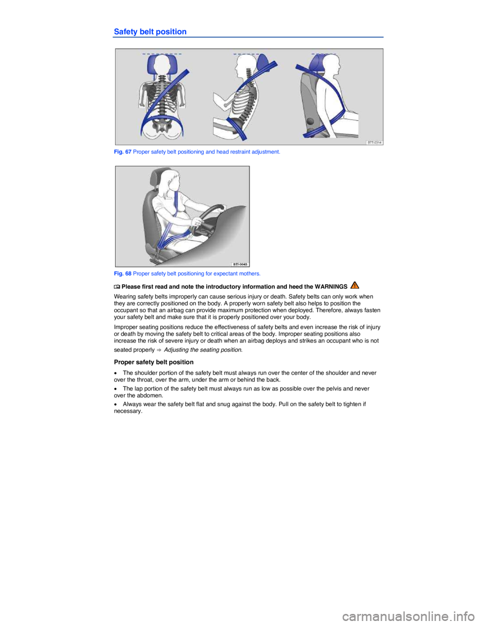 VOLKSWAGEN TIGUAN 2010  Owners Manual  
Safety belt position 
 
Fig. 67 Proper safety belt positioning and head restraint adjustment. 
 
Fig. 68 Proper safety belt positioning for expectant mothers. 
�