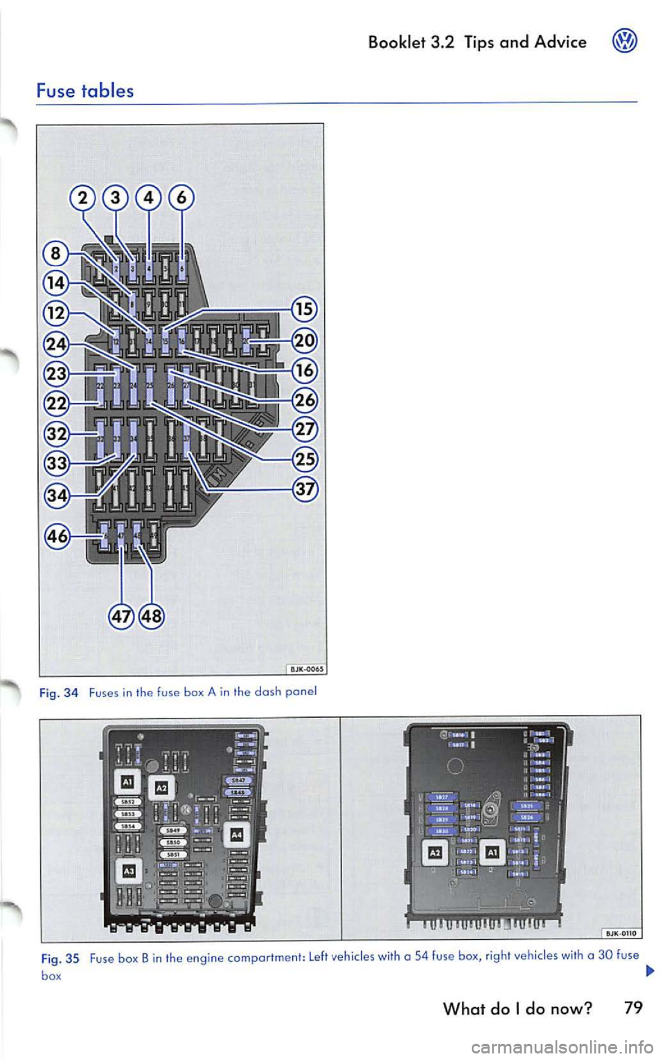 VOLKSWAGEN JETTA 2007  Owners Manual Booklet 3.2 Tip s and Adv ice 
Fuse  tables 
Fi g. 34  Fuses in  the  fuse  box A in  the  dash  panel 
Fi g.  35  F use box  Bin  the  engine comportment:  Left vehicles  w ith  a  54  fuse  box , ri