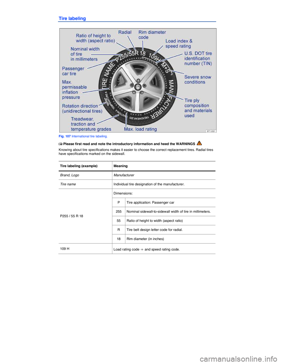 VOLKSWAGEN GOLF PLUS 2013  Owners Manual  
Tire labeling 
 
Fig. 107 International tire labeling. 
�
