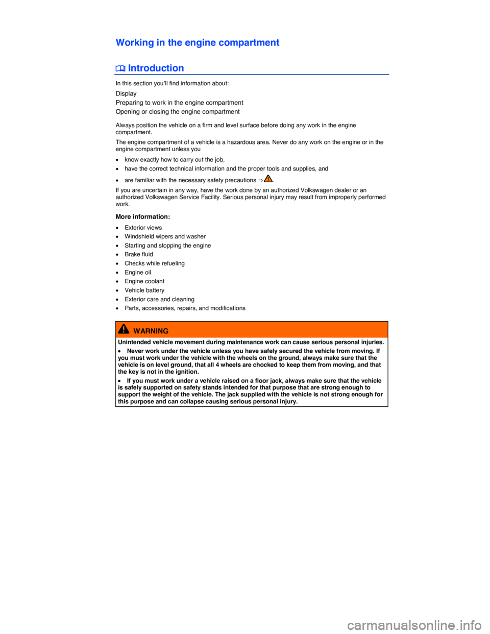 VOLKSWAGEN BEETLE 2018  Owners Manual  
Working in the engine compartment 
�