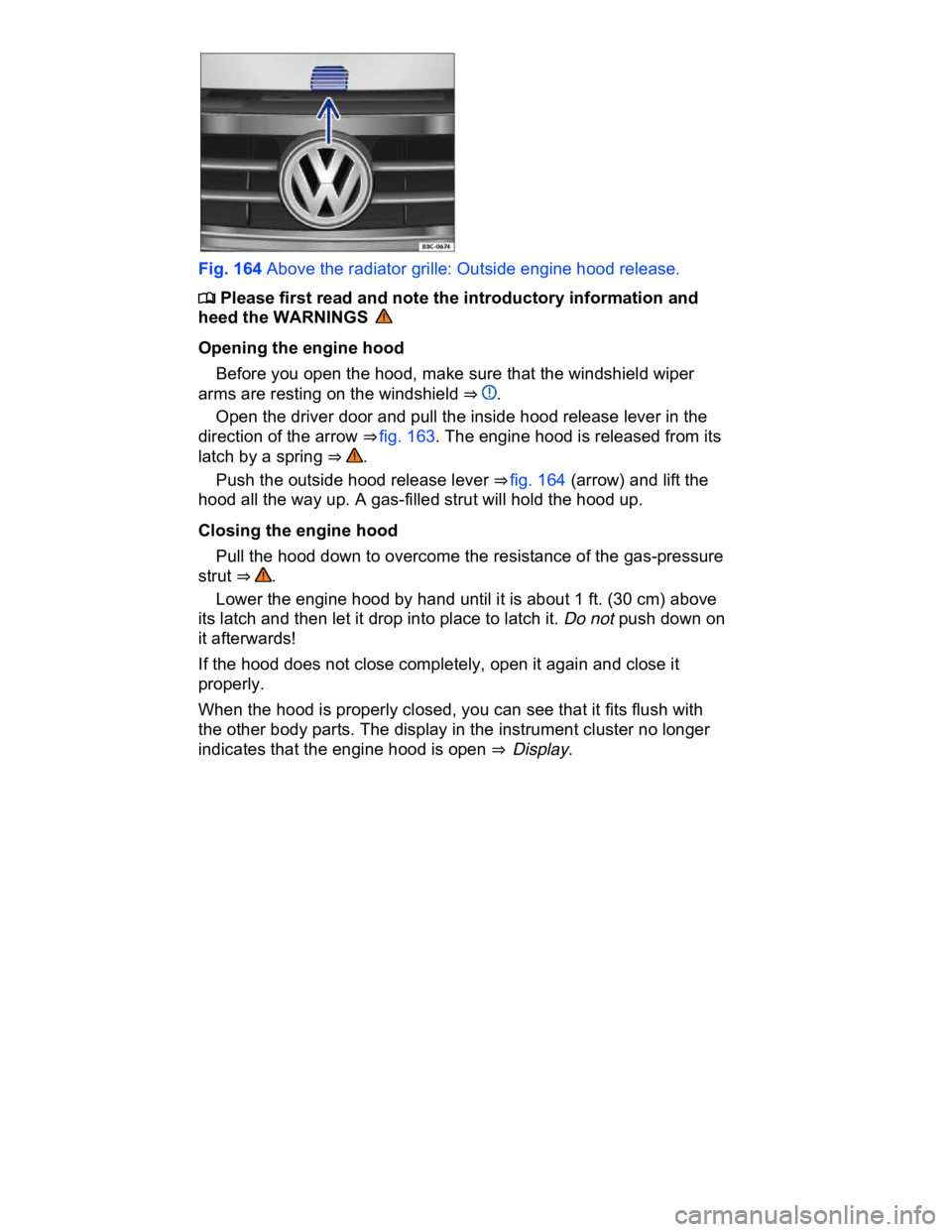 VOLKSWAGEN CC 2008  Owners Manual  
 
Fig. 164 Above the radiator grille: Outside engine hood release. 
�