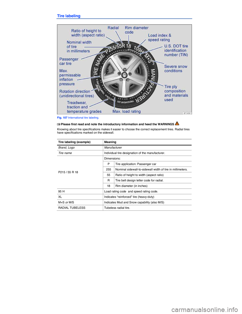 VOLKSWAGEN EOS 2007  Owners Manual  
Tire labeling 
 
Fig. 107 International tire labeling. 
�