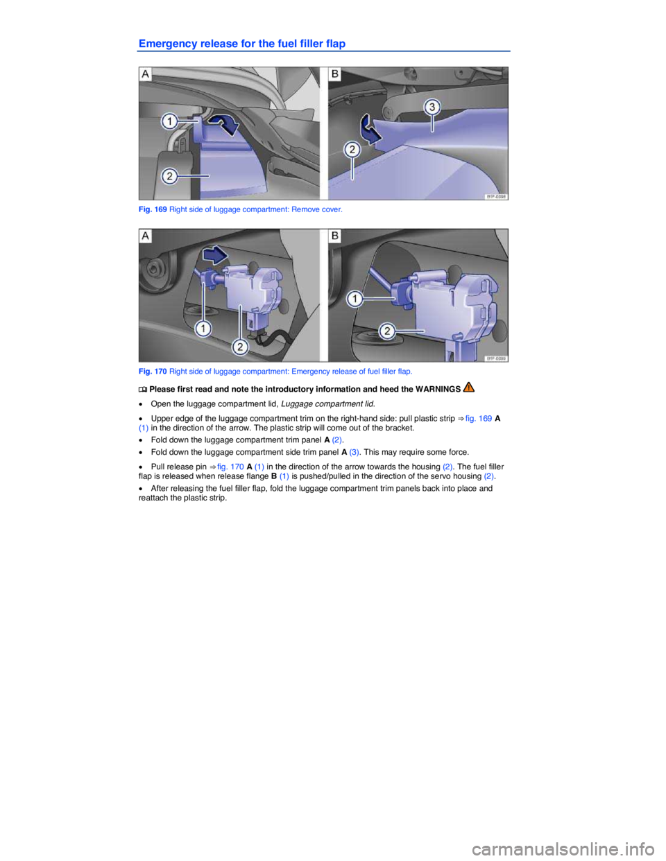 VOLKSWAGEN EOS 2007  Owners Manual  
Emergency release for the fuel filler flap 
 
Fig. 169 Right side of luggage compartment: Remove cover. 
 
Fig. 170 Right side of luggage compartment: Emergency release of fuel filler flap. 
�