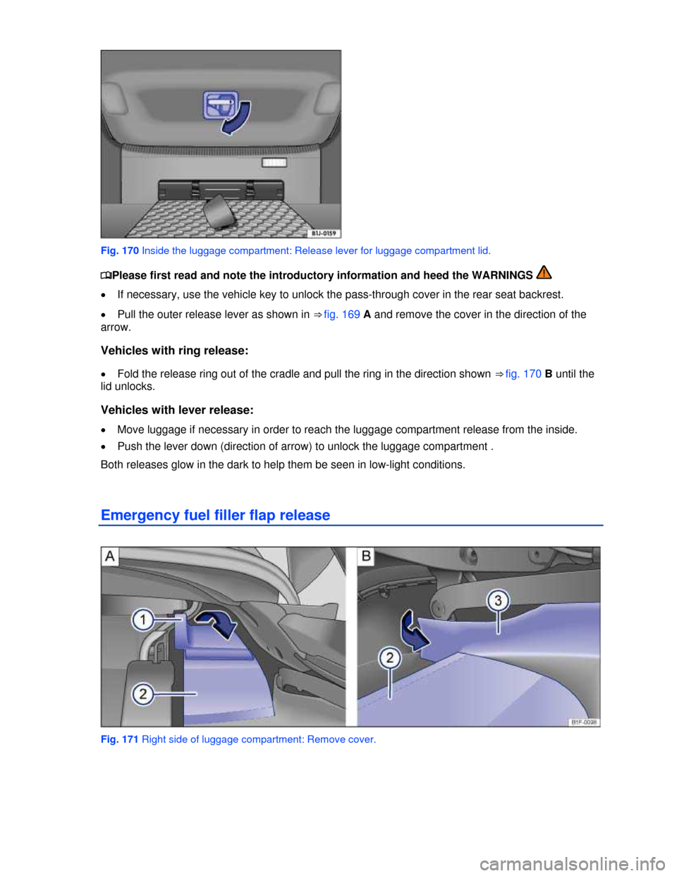 VOLKSWAGEN EOS 2013 1.G Owners Manual  
 
 
Fig. 170 Inside the luggage compartment: Release lever for luggage compartment lid. 
�