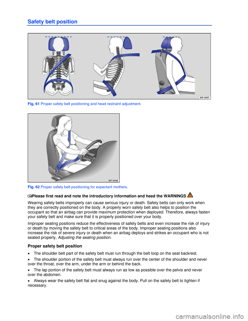 VOLKSWAGEN EOS 2013 1.G Manual Online  
 
Safety belt position 
 
Fig. 61 Proper safety belt positioning and head restraint adjustment. 
 
Fig. 62 Proper safety belt positioning for expectant mothers. 
�