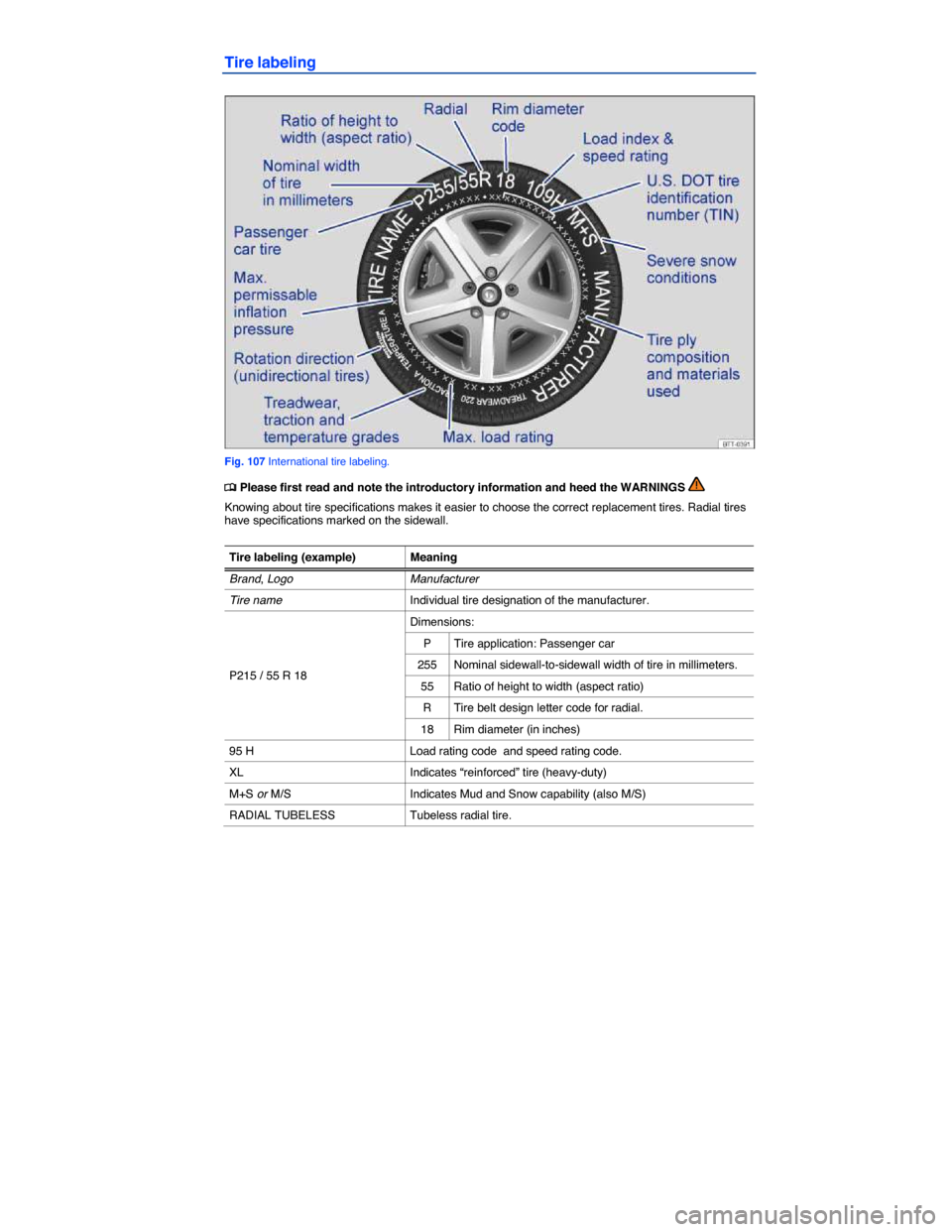 VOLKSWAGEN EOS 2014 1.G Owners Manual  
Tire labeling 
 
Fig. 107 International tire labeling. 
�