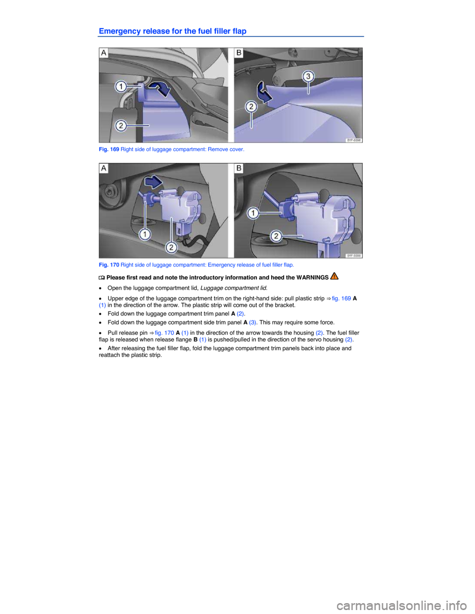 VOLKSWAGEN EOS 2014 1.G Owners Manual  
Emergency release for the fuel filler flap 
 
Fig. 169 Right side of luggage compartment: Remove cover. 
 
Fig. 170 Right side of luggage compartment: Emergency release of fuel filler flap. 
�