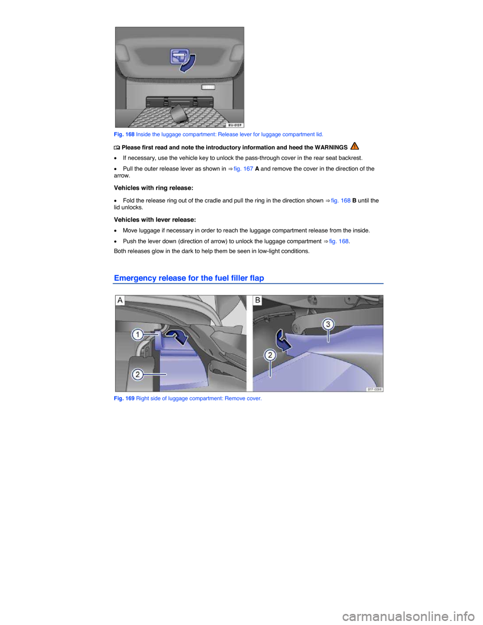 VOLKSWAGEN EOS 2015 1.G Owners Manual  
 
Fig. 168 Inside the luggage compartment: Release lever for luggage compartment lid. 
�