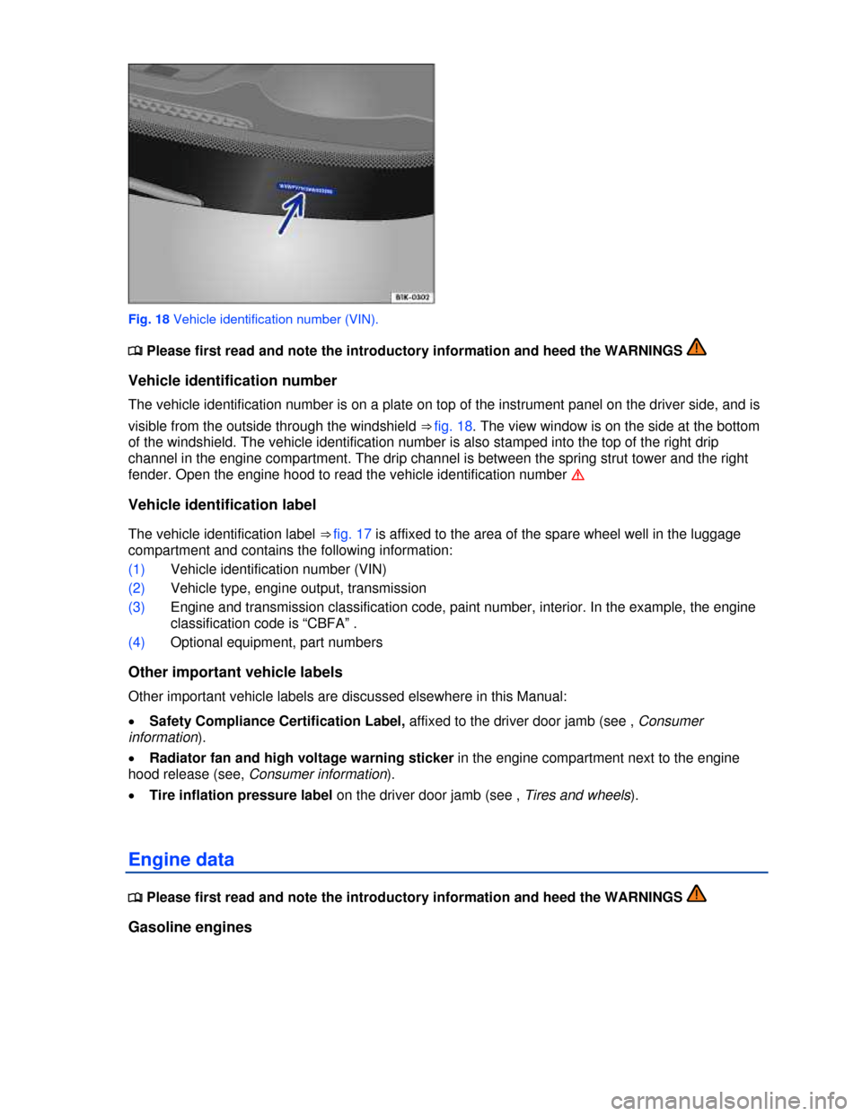 VOLKSWAGEN GOLF 2013 5G / 7.G Owners Manual  
 
Fig. 18 Vehicle identification number (VIN). 
�