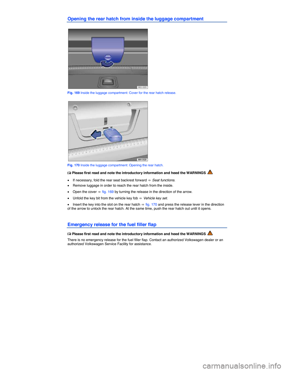 VOLKSWAGEN GOLF 2015 5G / 7.G Owners Manual  
Opening the rear hatch from inside the luggage compartment 
 
Fig. 169 Inside the luggage compartment: Cover for the rear hatch release. 
 
Fig. 170 Inside the luggage compartment: Opening the rear 