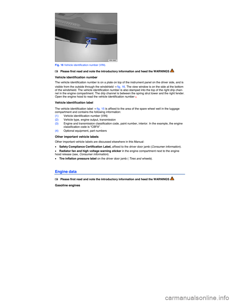 VOLKSWAGEN JETTA GLI 2013 1B / 6.G Owners Manual  
 
Fig. 16 Vehicle identification number (VIN). 
�