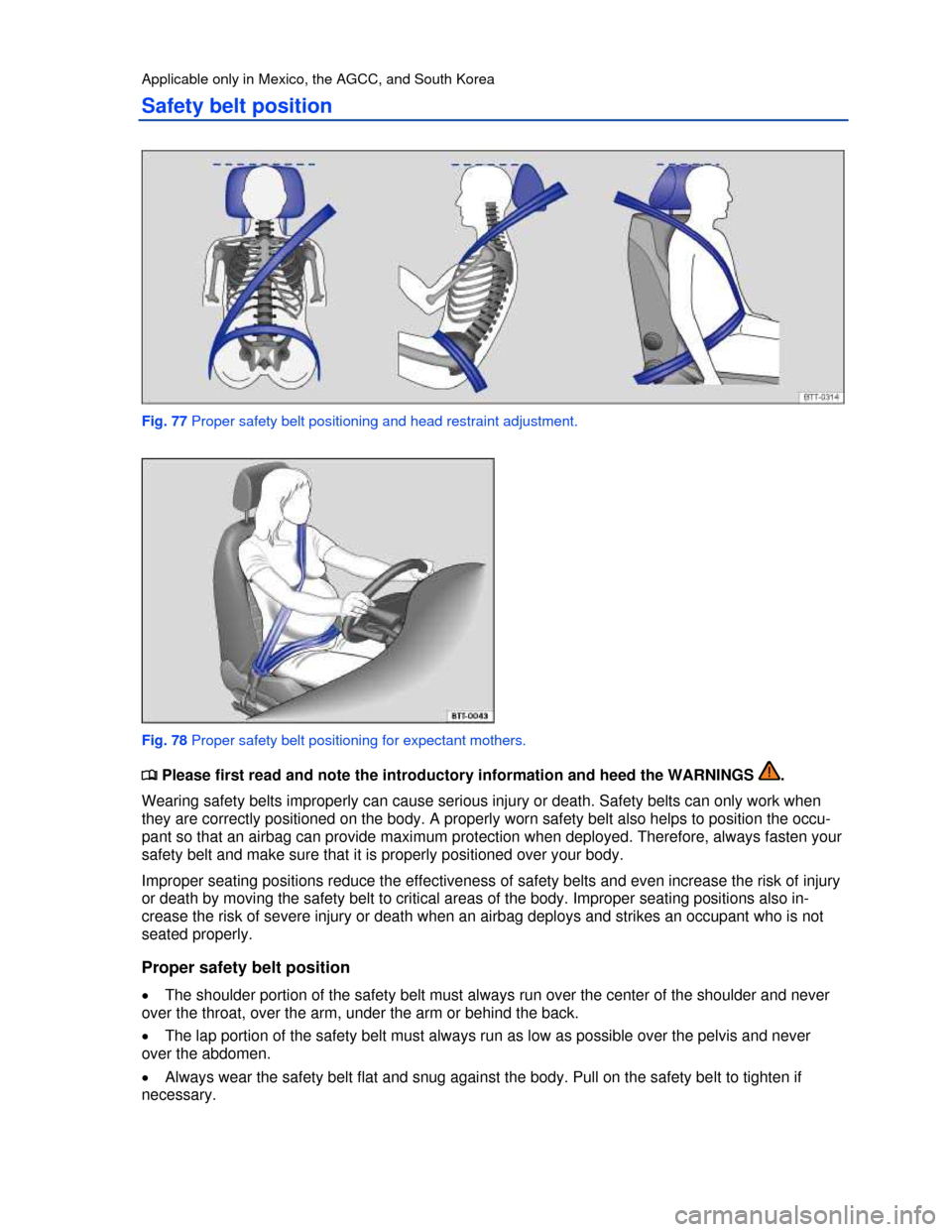 VOLKSWAGEN PASSAT 2013 B8 / 6.G Owners Manual  
Applicable only in Mexico, the AGCC, and South Korea 
Safety belt position 
 
Fig. 77 Proper safety belt positioning and head restraint adjustment. 
 
Fig. 78 Proper safety belt positioning for expe