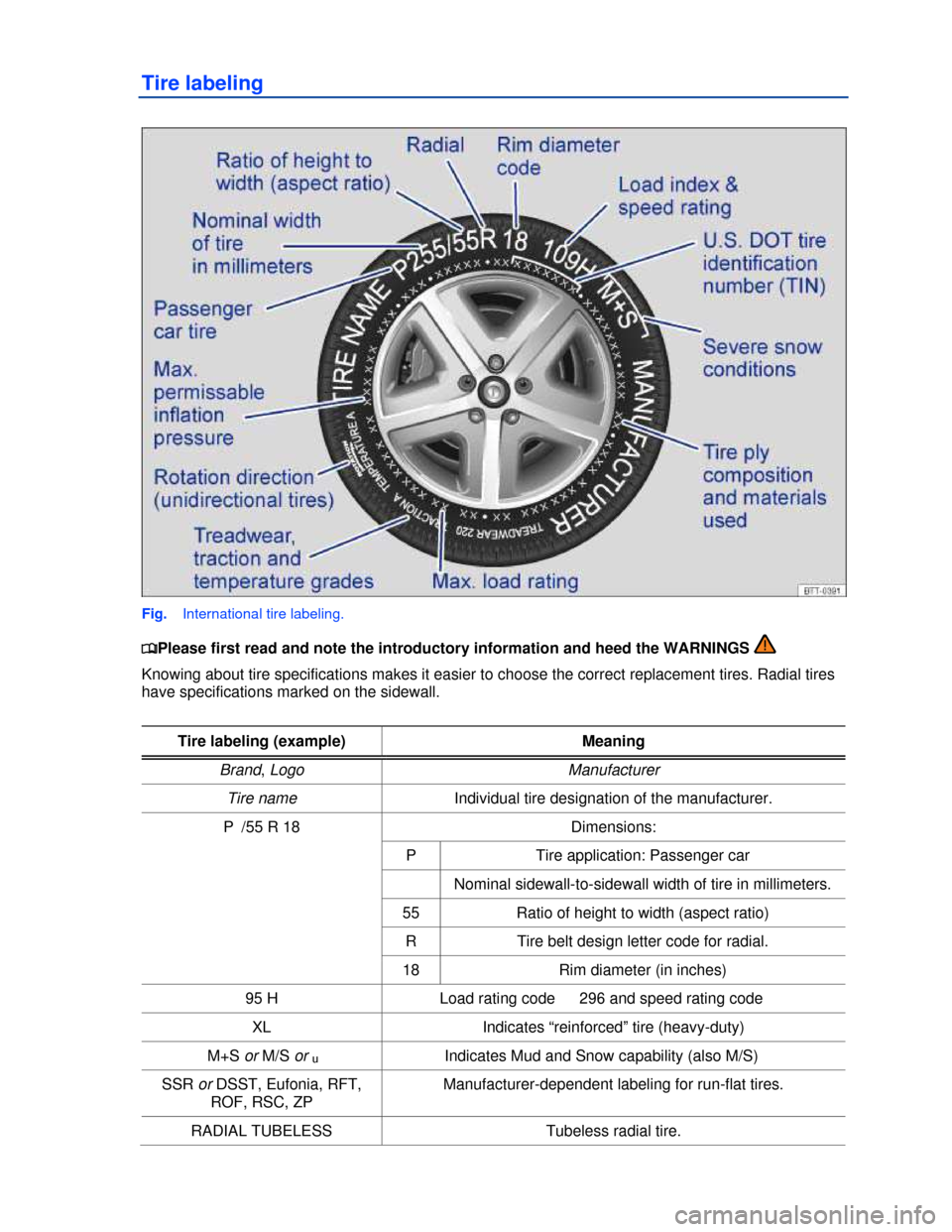 VOLKSWAGEN TIGUAN 2013 1.G Owners Manual  
Tire labeling 
 
Fig.   International tire labeling. 
�