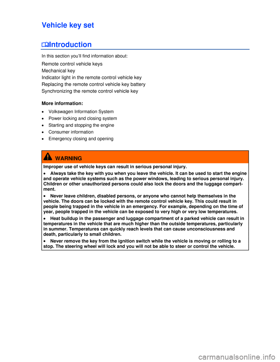 VOLKSWAGEN TIGUAN 2013 1.G Owners Guide  
Vehicle key set 
�