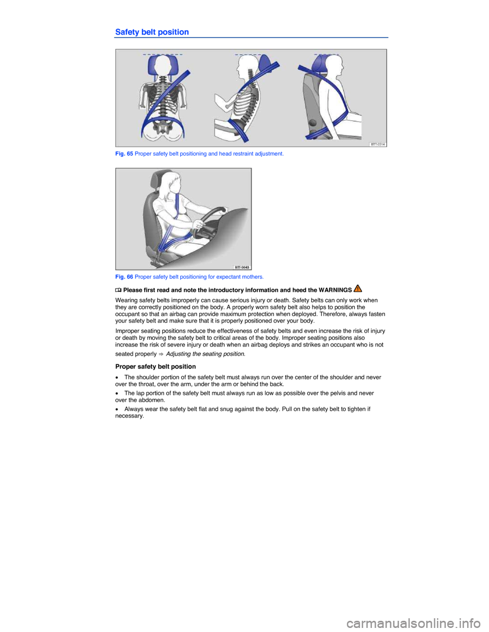 VOLKSWAGEN TIGUAN 2014 1.G Owners Manual  
Safety belt position 
 
Fig. 65 Proper safety belt positioning and head restraint adjustment. 
 
Fig. 66 Proper safety belt positioning for expectant mothers. 
�