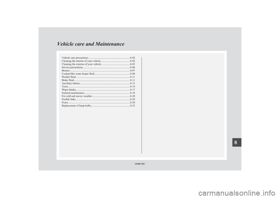 MITSUBISHI iMiEV 2013  Owners Manual (in English) Vehicle care precautions
............................................................... 8-02
Cleaning the interior of your vehicle ............................................8-02
Cleaning the exteri