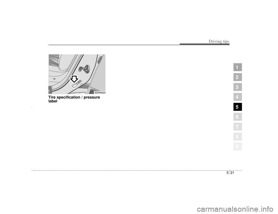 KIA Amanti 2004 1.G Owners Manual 521
Driving tips
1
2
3
4
5
6
7
8
9
Tire specification / pressure
label
3GHA523
Opirus CAN 5-1.qxd  7/8/03  2:21 PM  Page 21 