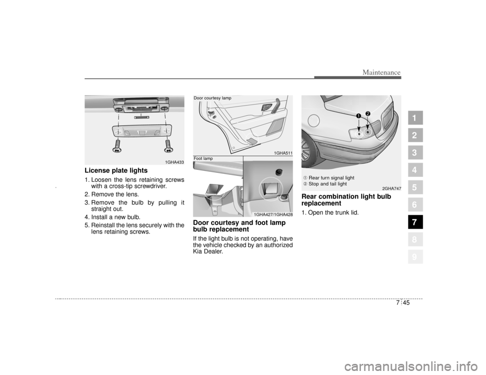 KIA Amanti 2004 1.G Owners Manual 745
Maintenance
1
2
3
4
5
6
7
8
9
License plate lights  1. Loosen the lens retaining screwswith a cross-tip screwdriver.
2. Remove the lens.
3. Remove the bulb by pulling it straight out.
4. Install a