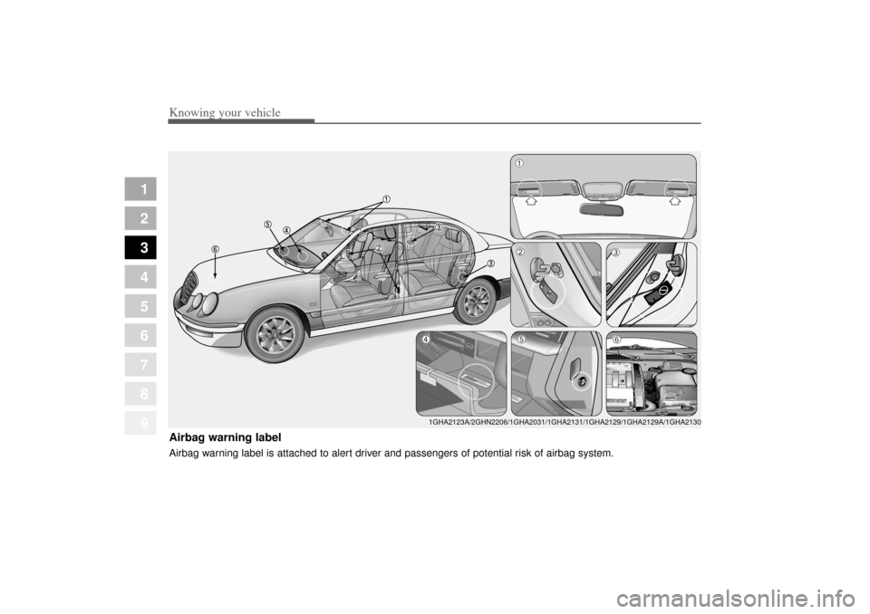 KIA Amanti 2004 1.G Service Manual Knowing your vehicle78
3
1
2
3
4
5
6
7
8
9
Airbag warning labelAirbag warning label is attached to alert driver and passengers of potential risk of airbag system.
1GHA2123A/2GHN2206/1GHA2031/1GHA2131/