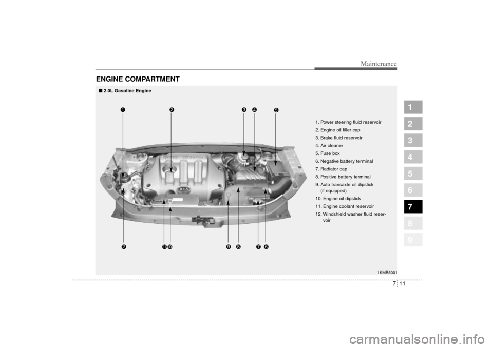 KIA Sportage 2005 JE_ / 2.G User Guide 711
Maintenance
1
2
3
4
5
6
7
8
9
ENGINE COMPARTMENT 
1KMB5001
1. Power steering fluid reservoir
2. Engine oil filler cap
3. Brake fluid reservoir
4. Air cleaner
5. Fuse box
6. Negative battery termin