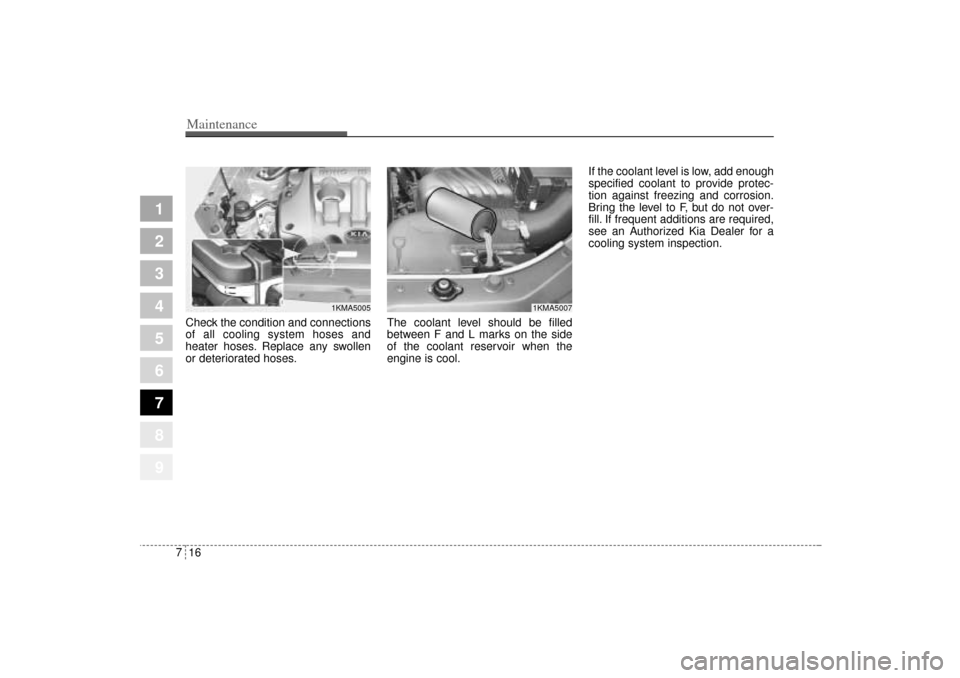 KIA Sportage 2005 JE_ / 2.G Owners Manual Maintenance16 7
1
2
3
4
5
6
7
8
9
Check the condition and connections
of all cooling system hoses and
heater hoses. Replace any swollen
or deteriorated hoses.The coolant level should be filled
between