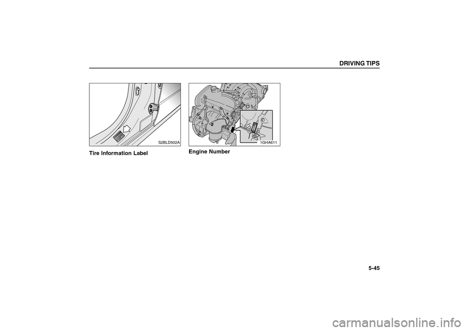 KIA Sorento 2006 1.G Manual PDF Tire Information LabelEngine Number
DRIVING TIPS
5-45
S2BLD502A
1GHA611
BL-ENG (CAN)-5.qxd  7/28/05  5:56 PM  Page 45 