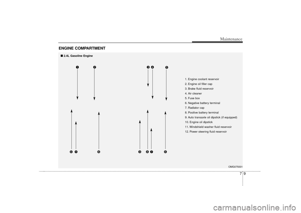 KIA Magnetis 2007 2.G Owners Manual 79
Maintenance
ENGINE COMPARTMENT 
OMG075001
1. Engine coolant reservoir
2. Engine oil filler cap
3. Brake fluid reservoir
4. Air cleaner
5. Fuse box
6. Negative battery terminal
7. Radiator cap
8. Po