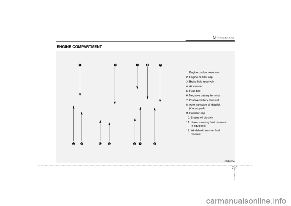 KIA Rio 2007 2.G Owners Manual 79
Maintenance
ENGINE COMPARTMENT 
1JBA0004
1. Engine coolant reservoir
2. Engine oil filler cap
3. Brake fluid reservoir
4. Air cleaner
5. Fuse box
6. Negative battery terminal
7. Positive battery te