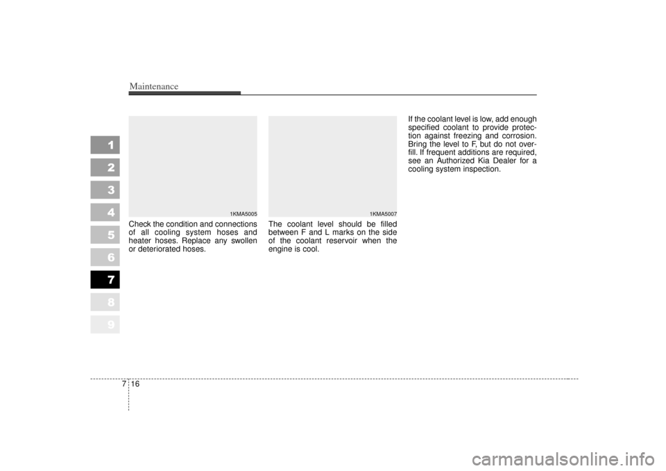 KIA Sportage 2007 JE_ / 2.G Owners Manual Maintenance16
7
1
2
3
4
5
6
7
8
9
Check the condition and connections
of all cooling system hoses and
heater hoses. Replace any swollen
or deteriorated hoses. The coolant level should be filled
betwee