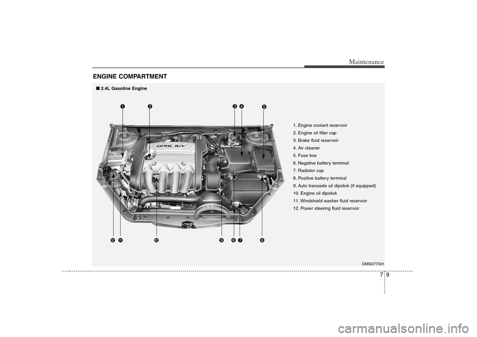 KIA Optima 2008 2.G Owners Manual 
79
Maintenance
ENGINE COMPARTMENT 
OMG077001
1. Engine coolant reservoir
2. Engine oil filler cap
3. Brake fluid reservoir
4. Air cleaner
5. Fuse box
6. Negative battery terminal
7. Radiator cap
8. P