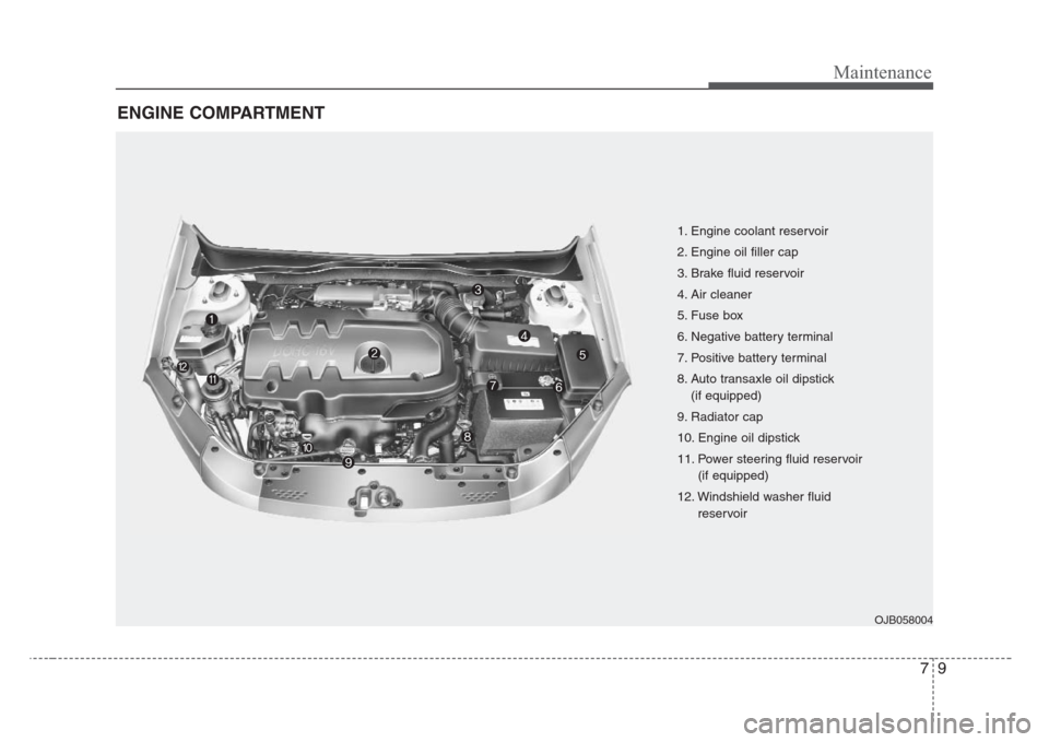 KIA Rio 2008 2.G Owners Manual 79
Maintenance
ENGINE COMPARTMENT 
OJB058004
1. Engine coolant reservoir
2. Engine oil filler cap
3. Brake fluid reservoir
4. Air cleaner
5. Fuse box
6. Negative battery terminal
7. Positive battery t