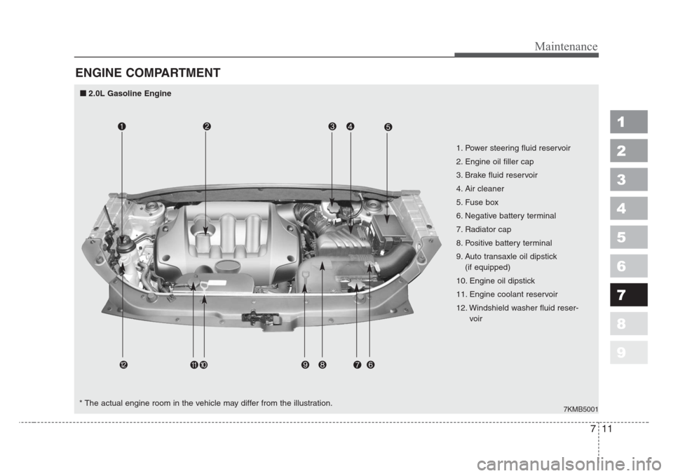 KIA Sportage 2008 JE_ / 2.G Owners Manual 711
Maintenance
1
2
3
4
5
6
7
8
9
ENGINE COMPARTMENT 
7KMB5001
1. Power steering fluid reservoir
2. Engine oil filler cap
3. Brake fluid reservoir
4. Air cleaner
5. Fuse box
6. Negative battery termin