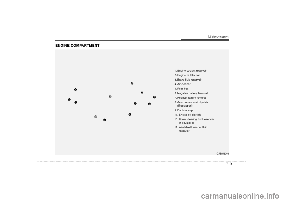KIA Rio 2009 2.G Owners Manual 79
Maintenance
ENGINE COMPARTMENT 
OJB058004
1. Engine coolant reservoir
2. Engine oil filler cap
3. Brake fluid reservoir
4. Air cleaner
5. Fuse box
6. Negative battery terminal
7. Positive battery t