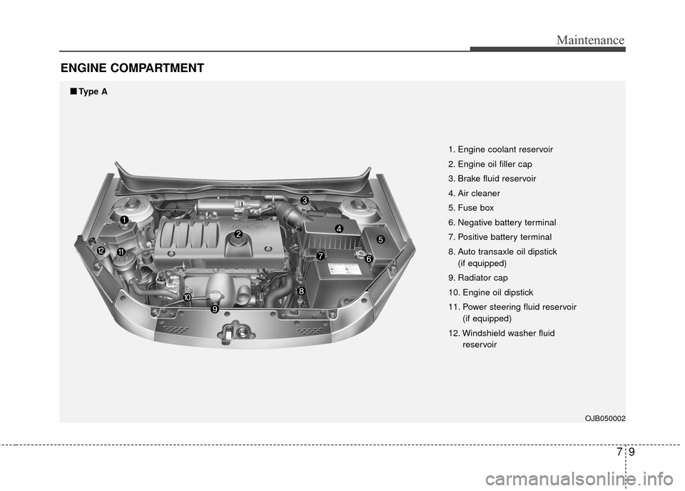 KIA Rio 2010 2.G Owners Manual 79
Maintenance
ENGINE COMPARTMENT 
OJB050002
1. Engine coolant reservoir
2. Engine oil filler cap
3. Brake fluid reservoir
4. Air cleaner
5. Fuse box
6. Negative battery terminal
7. Positive battery t