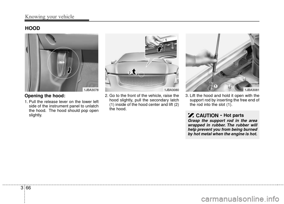 KIA Rio 2010 2.G Owners Manual Knowing your vehicle
66
3
Opening the hood:
1. Pull the release lever on the lower left
side of the instrument panel to unlatch
the hood. The hood should pop open
slightly. 2. Go to the front of the v