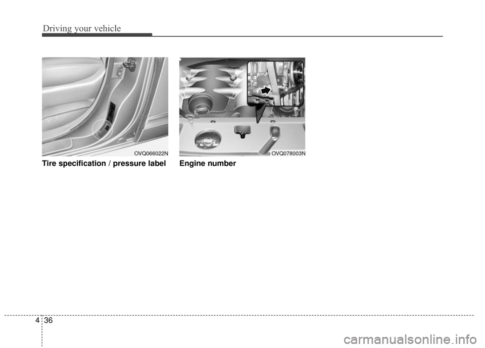 KIA Sedona 2010 2.G Owners Manual Driving your vehicle
36
4
Tire specification / pressure label Engine number
OVQ078003NOVQ066022N KIA Sedona 2010 2.G Owners Manual Driving your vehicle
36
4
Tire specification / pressure label Engine number
OVQ078003NOVQ066022N