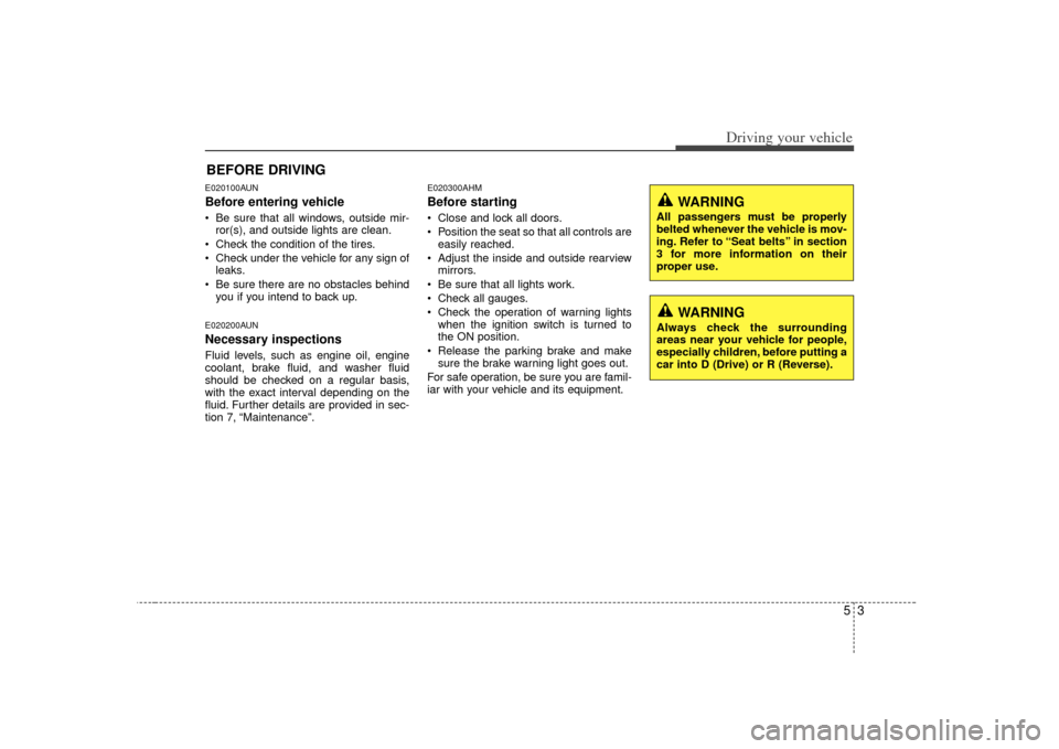 KIA Soul 2010 1.G User Guide 53
Driving your vehicle
E020100AUNBefore entering vehicle• Be sure that all windows, outside mir-ror(s), and outside lights are clean.
 Check the condition of the tires.
 Check under the vehicle for