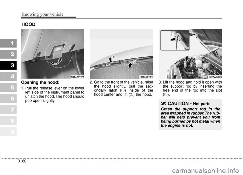 KIA Sportage 2010 SL / 3.G Manual Online Knowing your vehicle
80
3
1
2
3
4
5
6
7
8
9
Opening the hood:
1. Pull the release lever on the lower
left side of the instrument panel to
unlatch the hood. The hood should
pop open slightly. 2. Go to KIA Sportage 2010 SL / 3.G Manual Online Knowing your vehicle
80
3
1
2
3
4
5
6
7
8
9
Opening the hood:
1. Pull the release lever on the lower
left side of the instrument panel to
unlatch the hood. The hood should
pop open slightly. 2. Go to