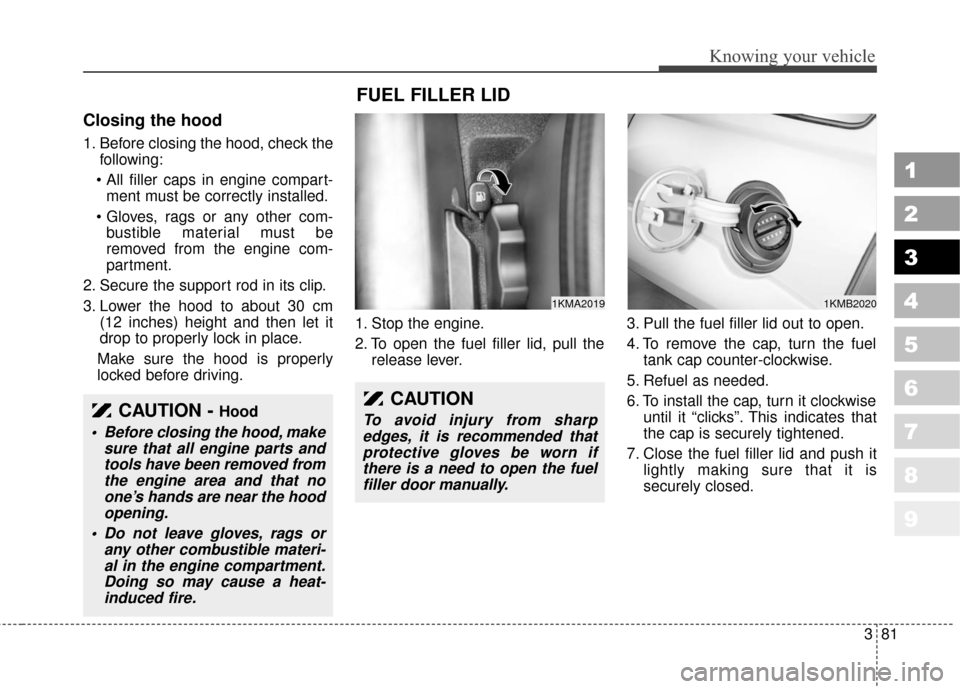 KIA Sportage 2010 SL / 3.G Owners Manual 381
1
2
3
4
5
6
7
8
9
Knowing your vehicle
Closing the hood
1. Before closing the hood, check thefollowing:
 ment must be correctly installed.
 bustible material must be
removed from the engine com-
p