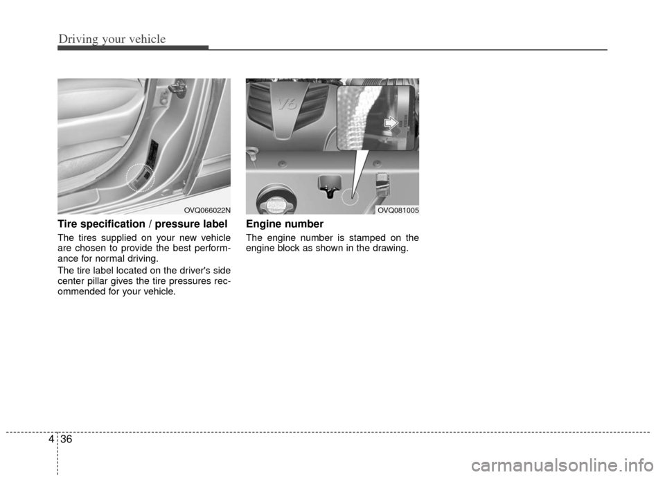 KIA Sedona 2011 2.G Owners Manual Driving your vehicle
36
4
Tire specification / pressure label
The tires supplied on your new vehicle
are chosen to provide the best perform-
ance for normal driving.
The tire label located on the driv