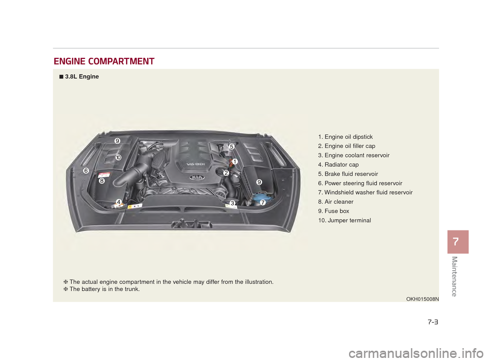 KIA K900 2015 1.G Owners Manual Maintenance
7
7-3
ENGINE COMPARTMENT
1. Engine oil dipstick
2. Engine oil filler cap
3. Engine coolant reservoir
4. Radiator cap
5. Brake fluid reservoir
6. Power steering fluid reservoir
7. Windshiel