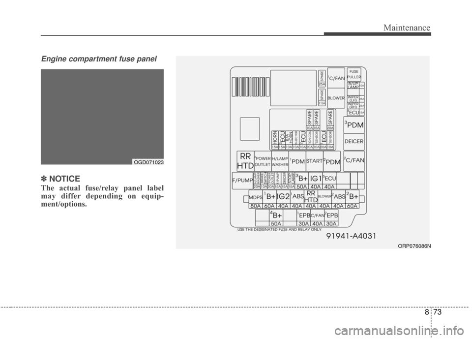 KIA Carens 2017 3.G Owners Manual 873
Maintenance
Engine compartment fuse panel
✽ ✽NOTICE
The actual fuse/relay panel label
may differ depending on equip-
ment/options.
OGD071023
ORP076086N 