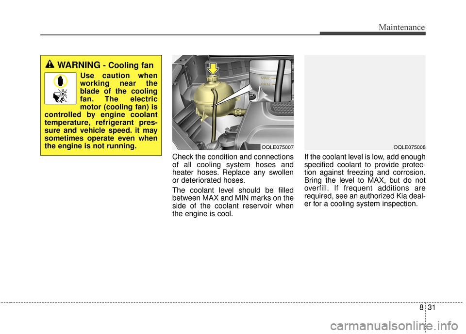 KIA Sportage 2017 QL / 4.G Owners Manual 831
Maintenance
Check the condition and connections
of all cooling system hoses and
heater hoses. Replace any swollen
or deteriorated hoses.
The coolant level should be filled
between MAX and MIN mark