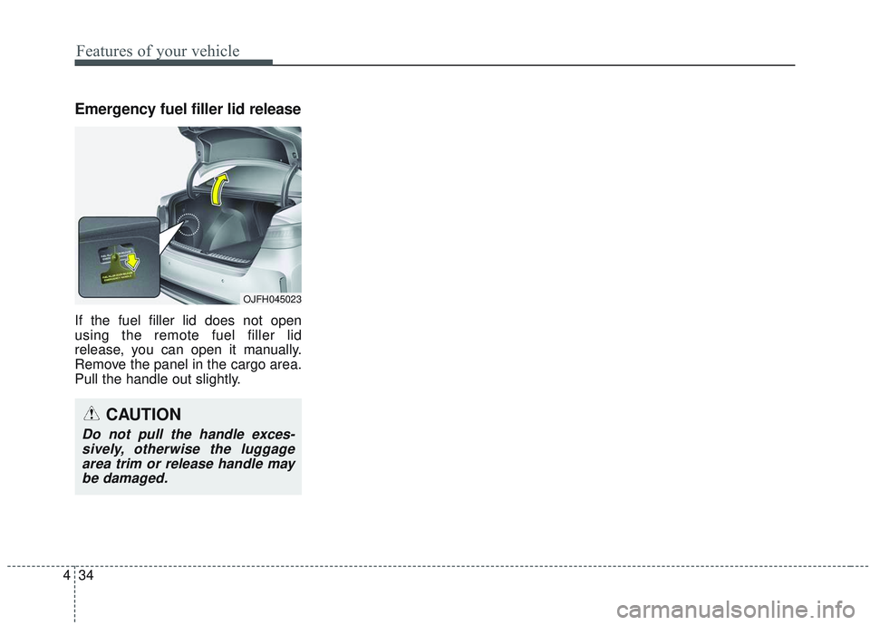 KIA OPTIMA 2020 Owners Manual Features of your vehicle
34
4
Emergency fuel filler lid release
If the fuel filler lid does not open
using the remote fuel filler lid
release, you can open it manually.
Remove the panel in the cargo a KIA OPTIMA 2020 Owners Manual Features of your vehicle
34
4
Emergency fuel filler lid release
If the fuel filler lid does not open
using the remote fuel filler lid
release, you can open it manually.
Remove the panel in the cargo a