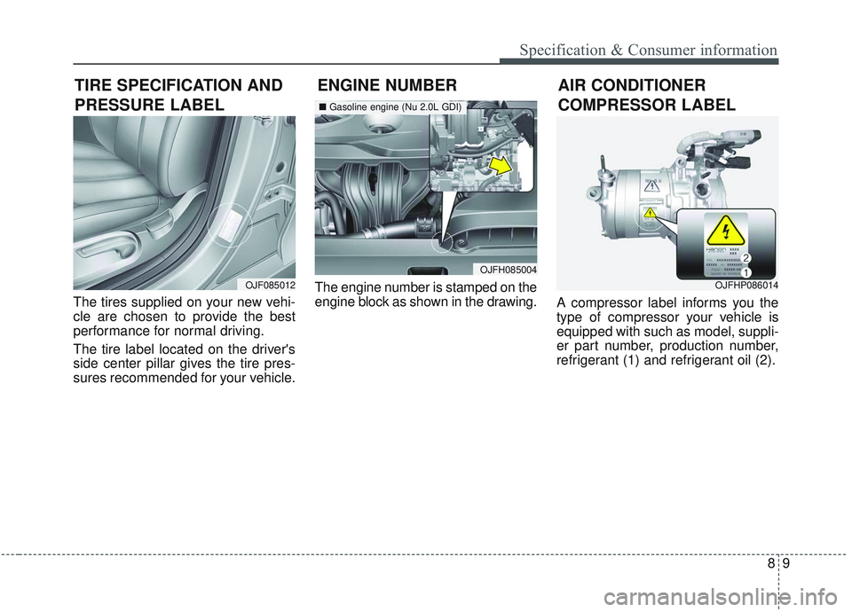 KIA OPTIMA 2020  Owners Manual 89
Specification & Consumer information
The tires supplied on your new vehi-
cle are chosen to provide the best
performance for normal driving.
The tire label located on the drivers
side center pilla