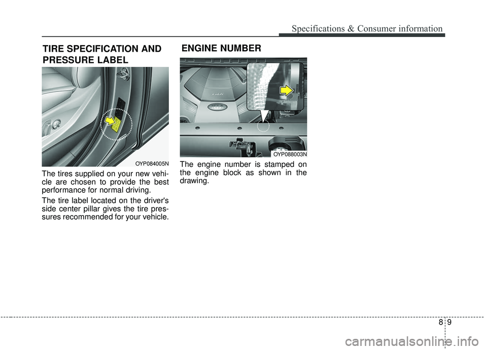 KIA SEDONA 2019  Owners Manual 89
Specifications & Consumer information
The tires supplied on your new vehi-
cle are chosen to provide the best
performance for normal driving.
The tire label located on the drivers
side center pill