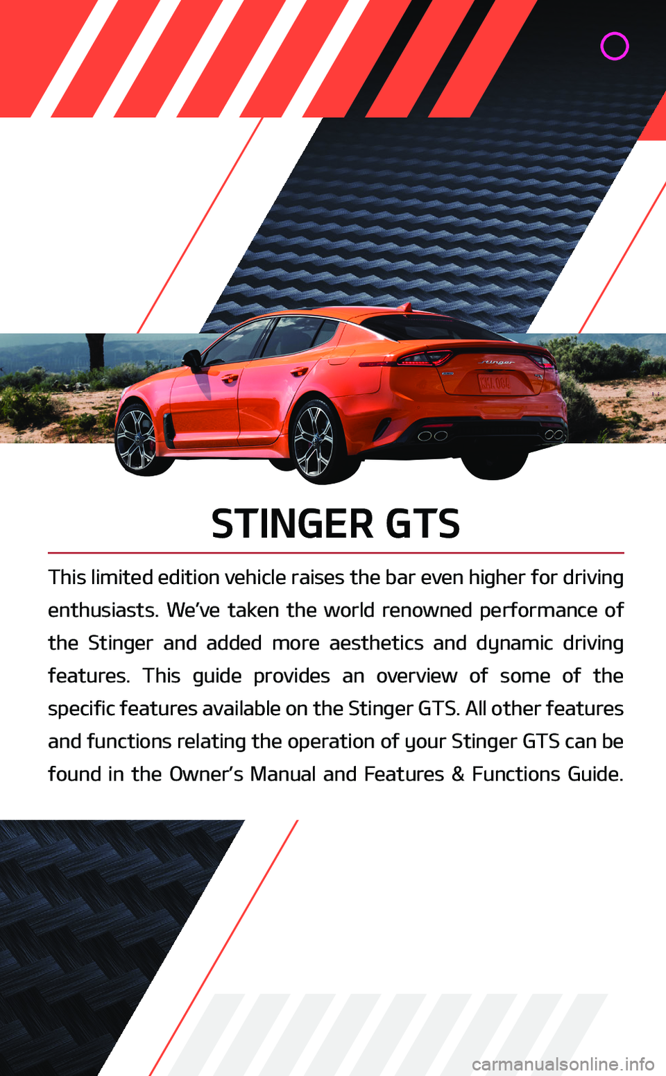 KIA STINGER 2019  Performance Features STINGER GTS
This limited edition vehicle raises the bar even higher for driving 
enthusiasts. We’ve taken the world renowned performance of 
the Stinger and added more aesthetics and dynamic driving