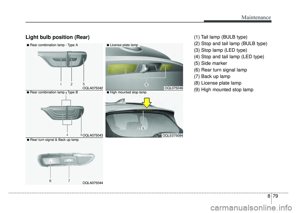 KIA SPORTAGE 2019  Owners Manual 879
Maintenance
Light bulb position (Rear)(1) Tail lamp (BULB type)
(2) Stop and tail lamp (BULB type)
(3) Stop lamp (LED type)
(4) Stop and tail lamp (LED type)
(5) Side marker
(6) Rear turn signal l