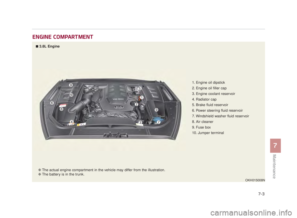 KIA K900 2016  Owners Manual Maintenance
7
7-3
ENGINE COMPARTMENT
1. Engine oil dipstick
2. Engine oil filler cap
3. Engine coolant reservoir
4. Radiator cap
5. Brake fluid reservoir
6. Power steering fluid reservoir
7. Windshiel